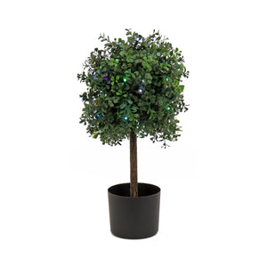 Pre Lit Boxwood Single Ball Topiary, Multifunction LED, 61 cm