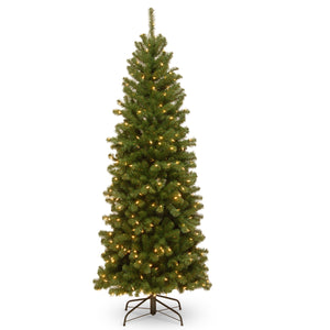 6ft Pre Lit Pencil Slim Spruce Christmas Tree, 250 Clear Lights
