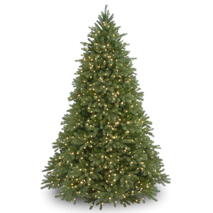 7.5ft Pre Lit Deluxe Fraser Fir, Dual Colour LED, Easy Connect