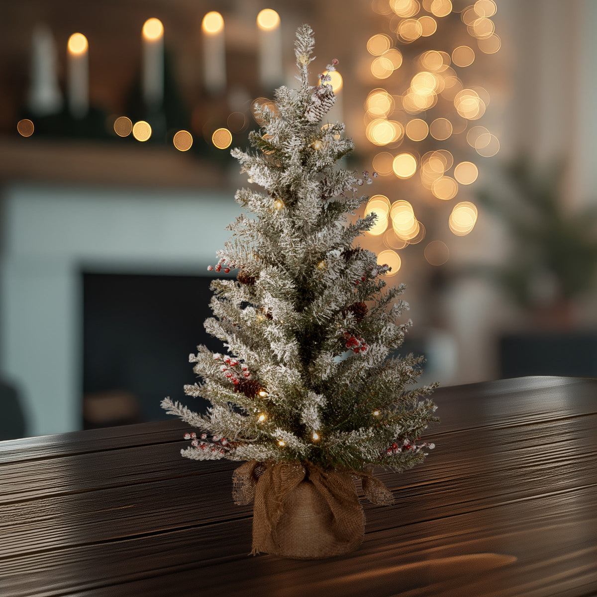 3ft Pre Lit Dunhill Fir Tabletop Christmas Tree in Burlap Bag, Warm White LED