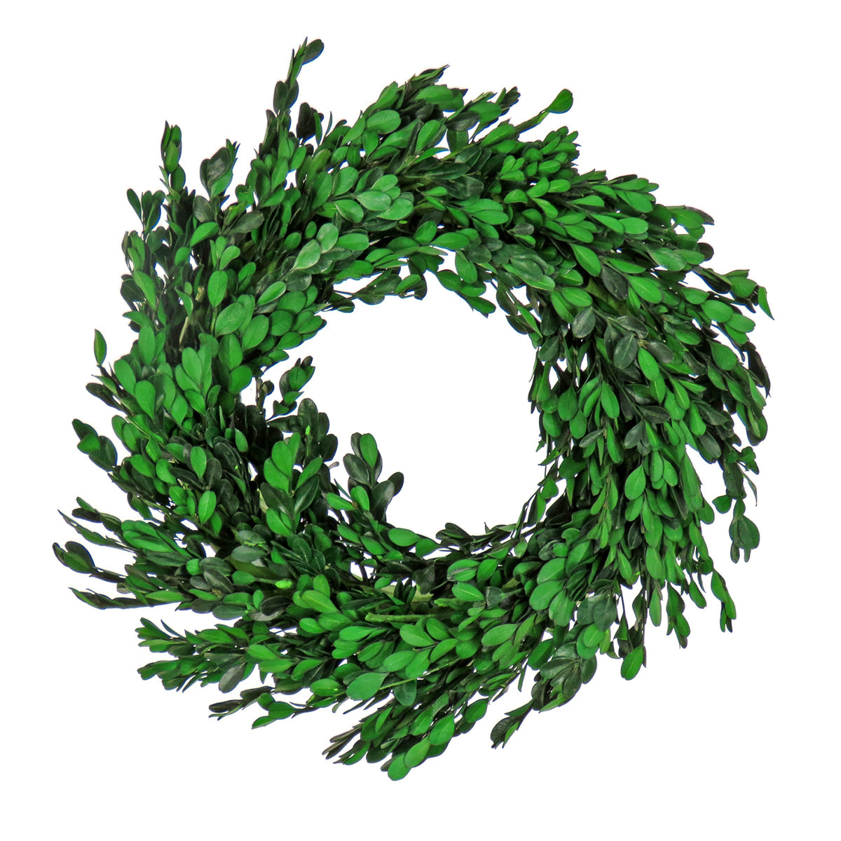 Boxwood Swirl Wreath, 46 cm