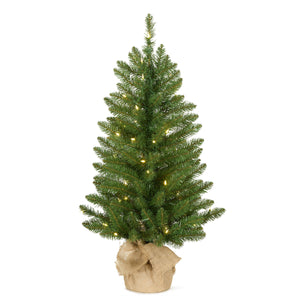 3ft Pre Lit Slim Potted Fir Christmas Tree, Warm White LED