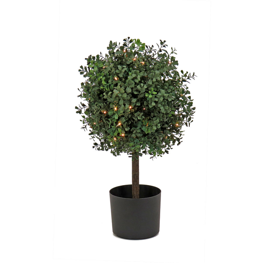 Pre Lit Boxwood Single Ball Topiary in Black Pot, 50 Clear Lights, 61 cm
