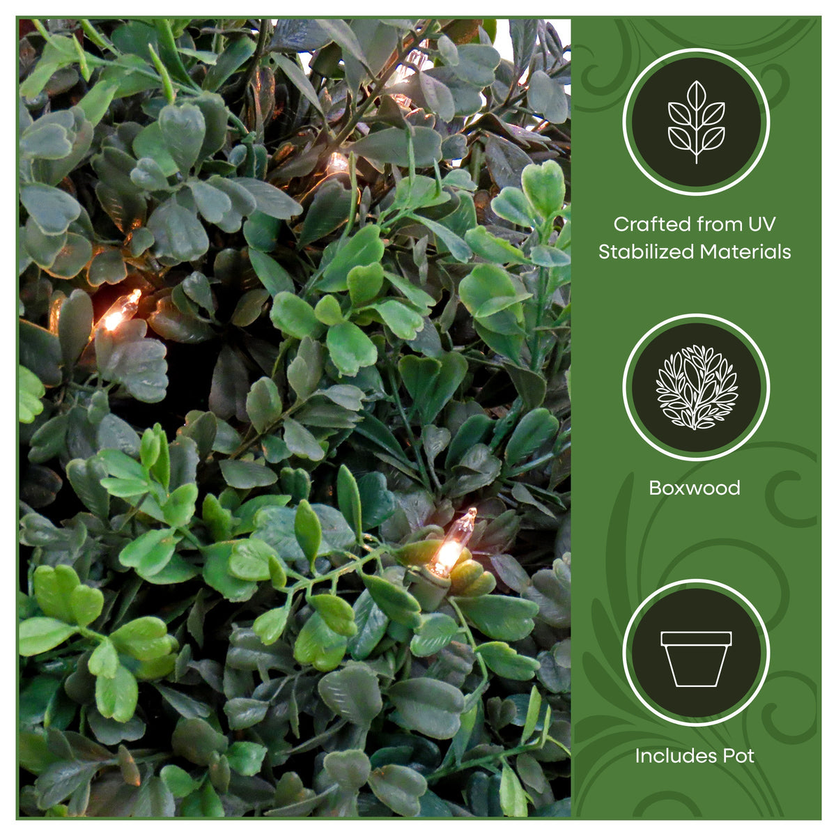 Pre Lit Boxwood Single Ball Topiary in Black Pot, 50 Clear Lights, 61 cm