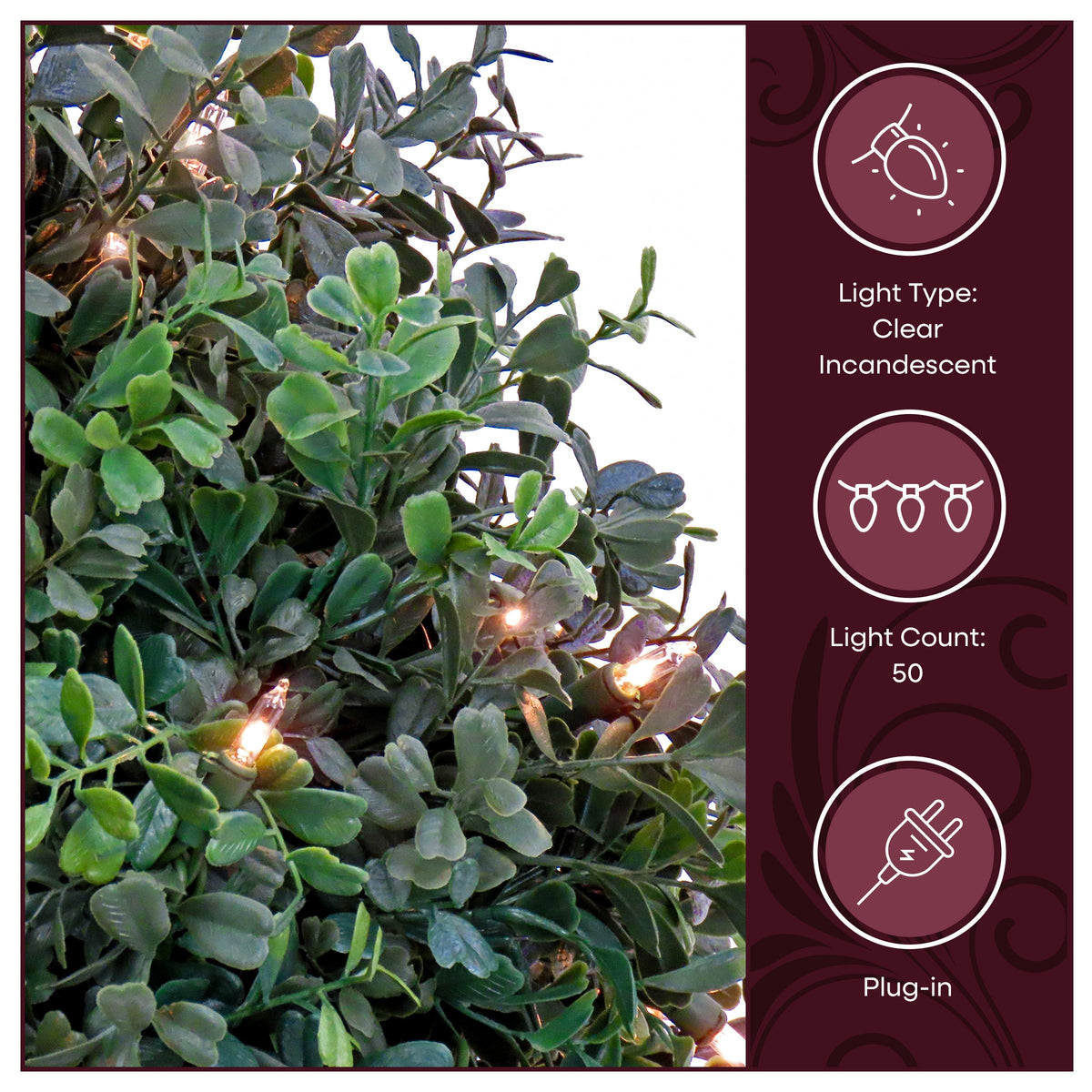 Pre Lit Boxwood Single Ball Topiary in Black Pot, 50 Clear Lights, 61 cm