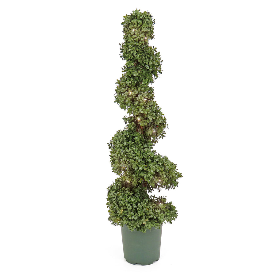 Pre Lit Boxwood Spiral Topiary, LED, 112 cm
