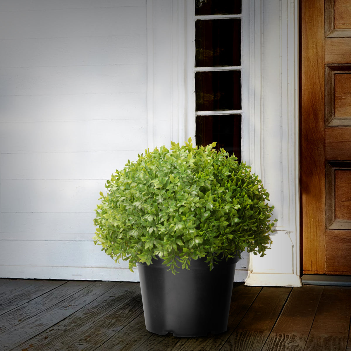 Artificial Holly Globe Bush in Pot, 33 cm