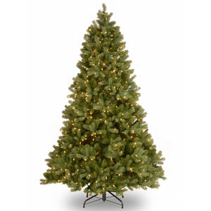 7ft Pre Lit Realistic Downswept Douglas Fir, 700 Clear Lights