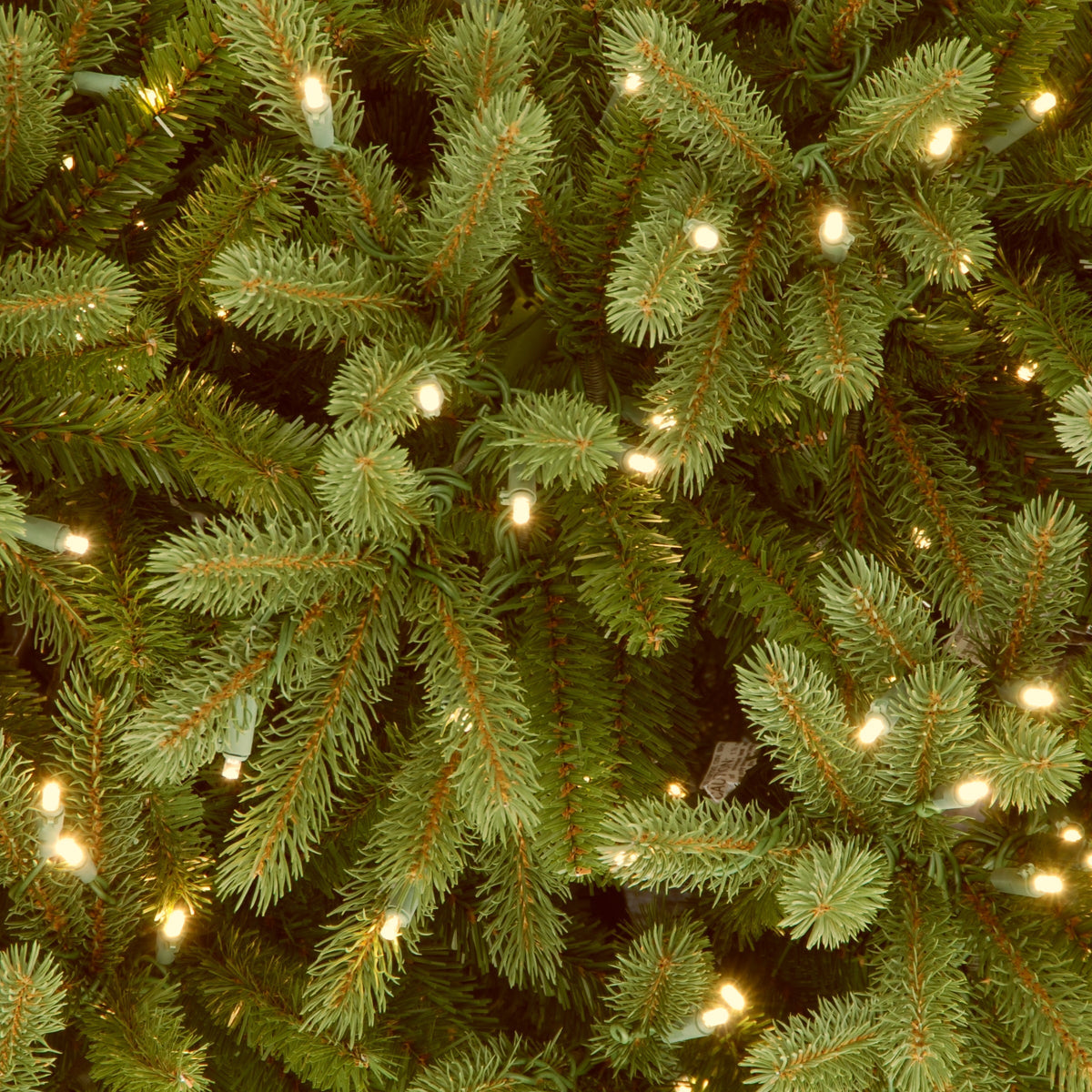 7.5ft Pre Lit Deluxe Fraser Fir, Dual Colour LED, Easy Connect