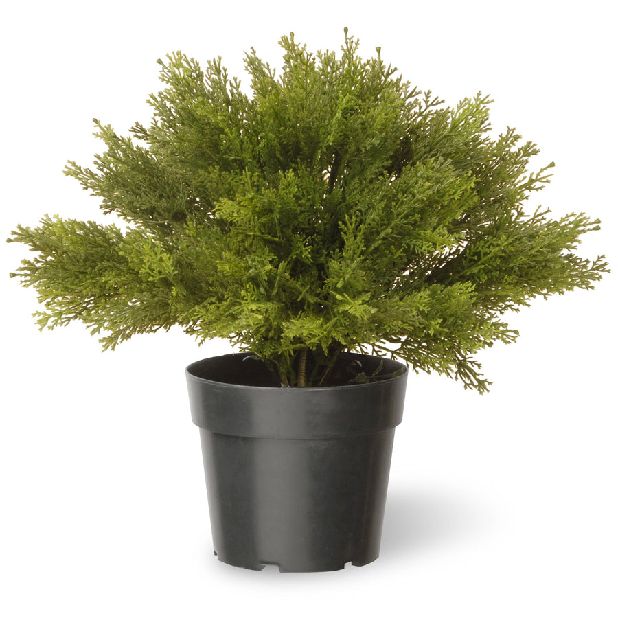 Artificial Globe Cedar in Grower's Pot, 38 cm
