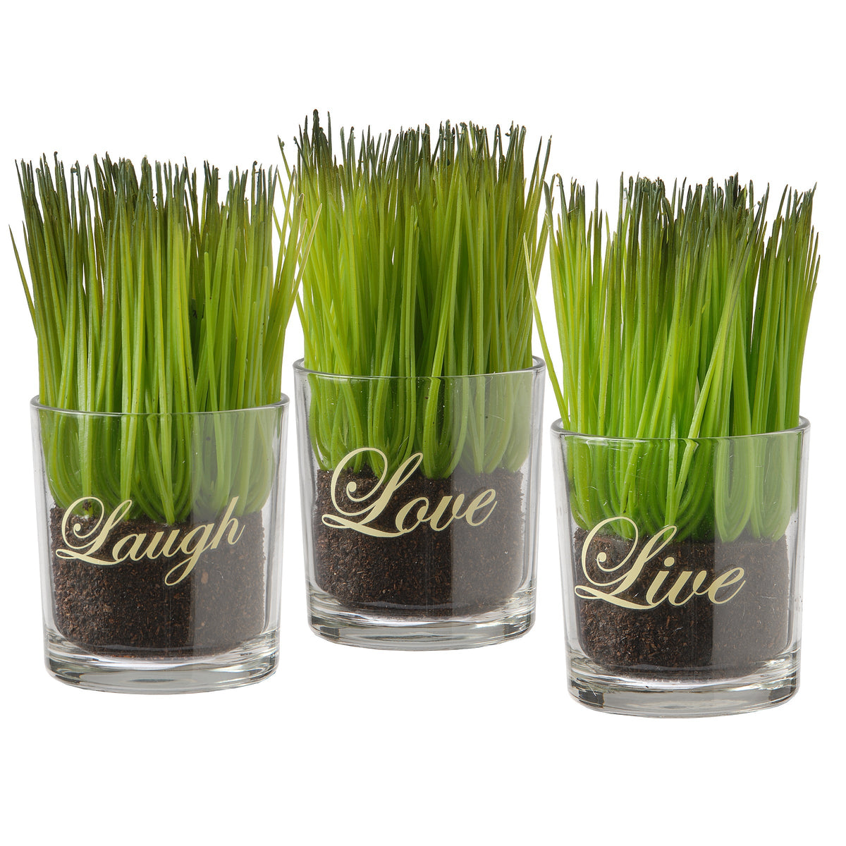 Artificial Plant Sprouts in Glass Cups, Live Laugh Love, Set of 3