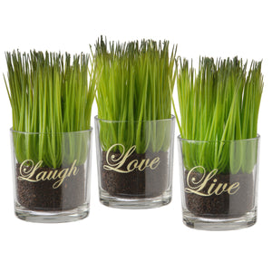 Artificial Plant Sprouts in Glass Cups, Live Laugh Love, Set of 3