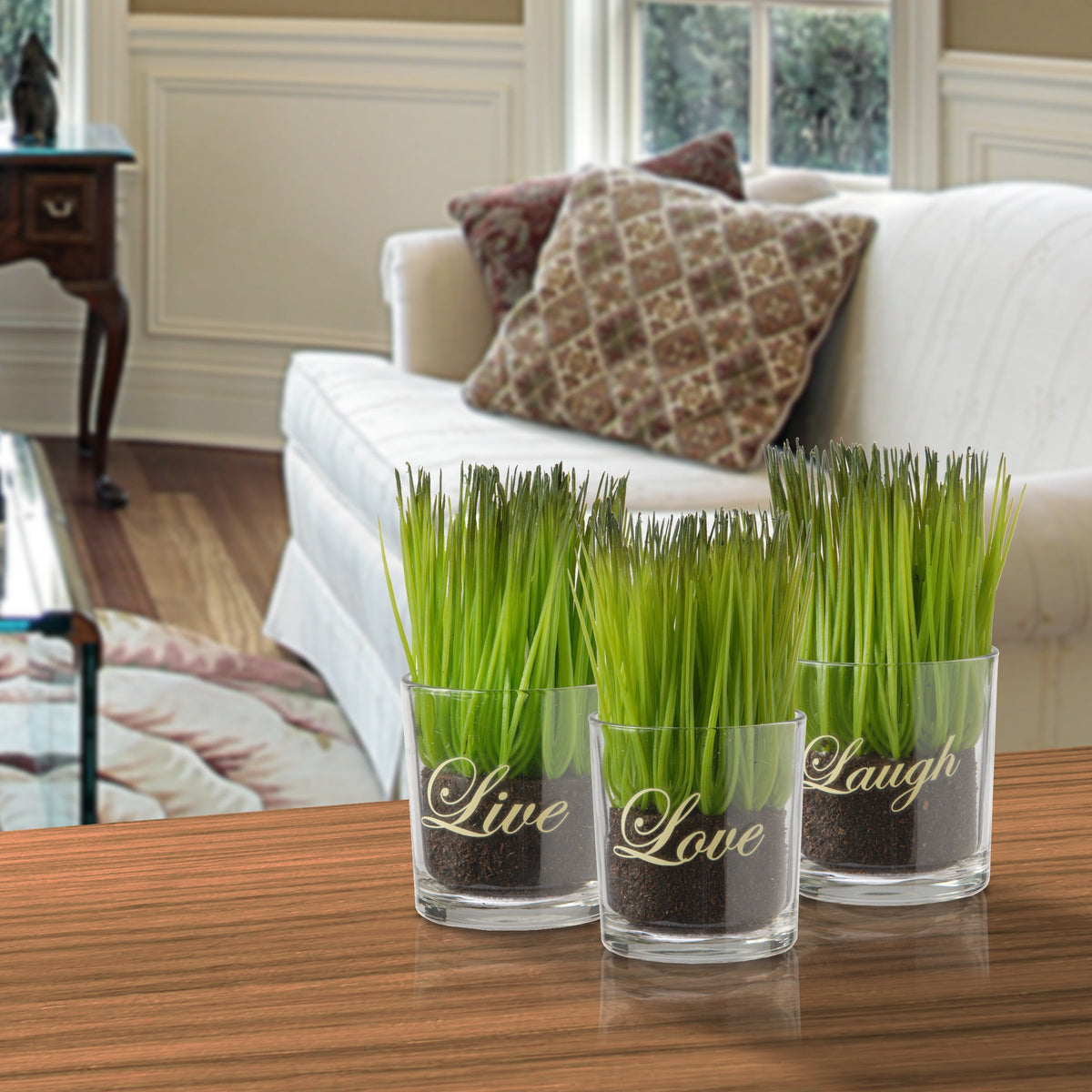 Artificial Plant Sprouts in Glass Cups, Live Laugh Love, Set of 3