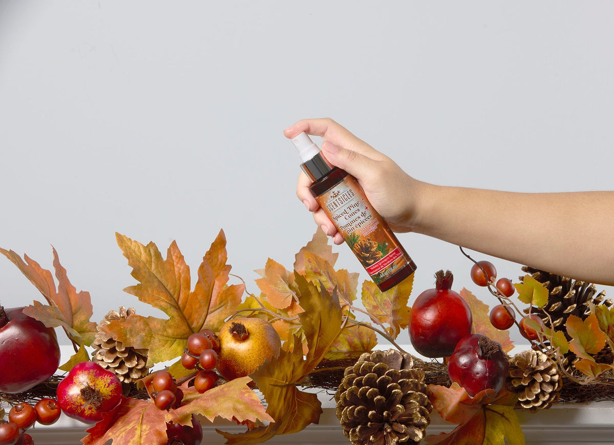 Scent Sticks and Spray Set, Spiced Pine Cones