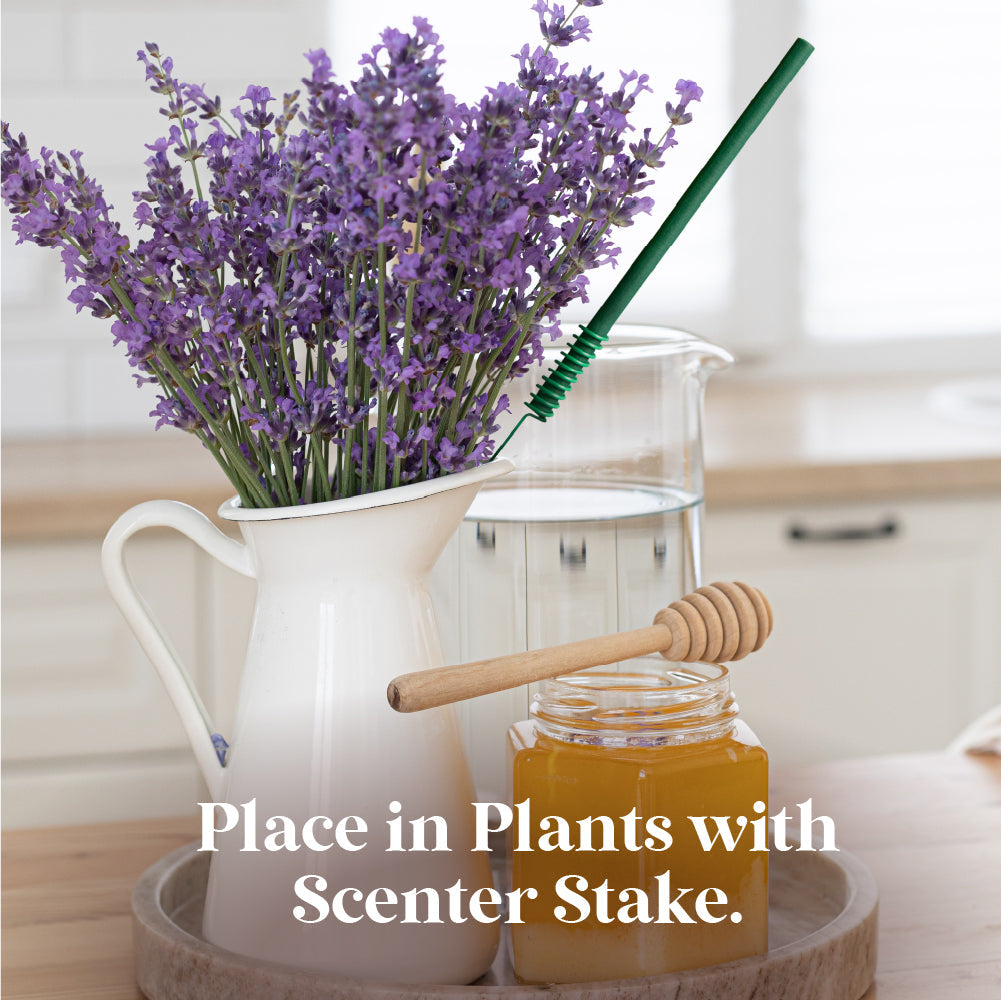 Scent Sticks Duo, Lavender and Vanilla Woods