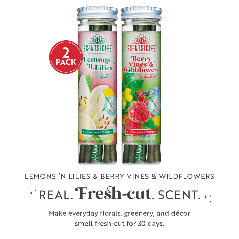 Spring Scent Sticks Duo, Lemon Lilies and Wildflowers