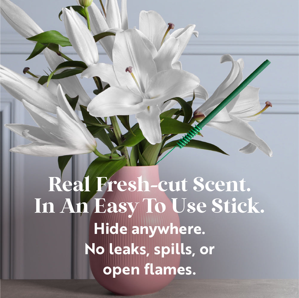 Spring Scent Sticks Duo, Lemon Lilies and Wildflowers