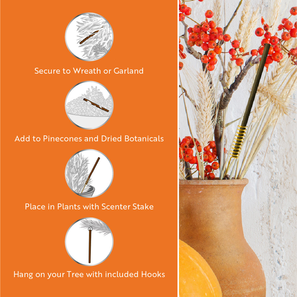 Autumn Scent Sticks Trio, Apple, Pumpkin and Cinnamon