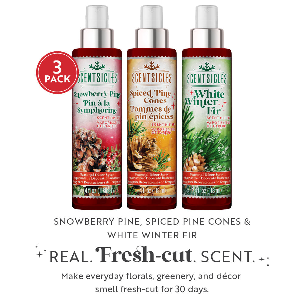 Mister Trio de perfume festivo, abeto, pinho snowberry e pinhas temperadas