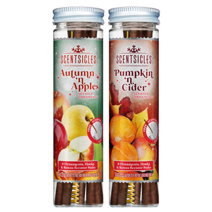Autumn Scent Sticks Duo, Apple and Pumpkin Cider
