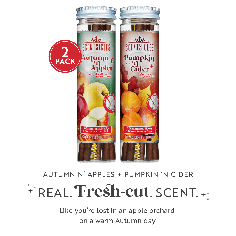 Autumn Scent Sticks Duo, Apple and Pumpkin Cider
