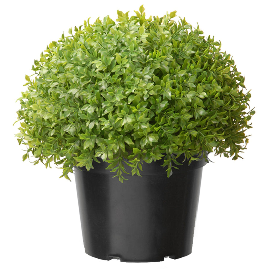 Artificial Holly Globe Bush in Pot, 33 cm